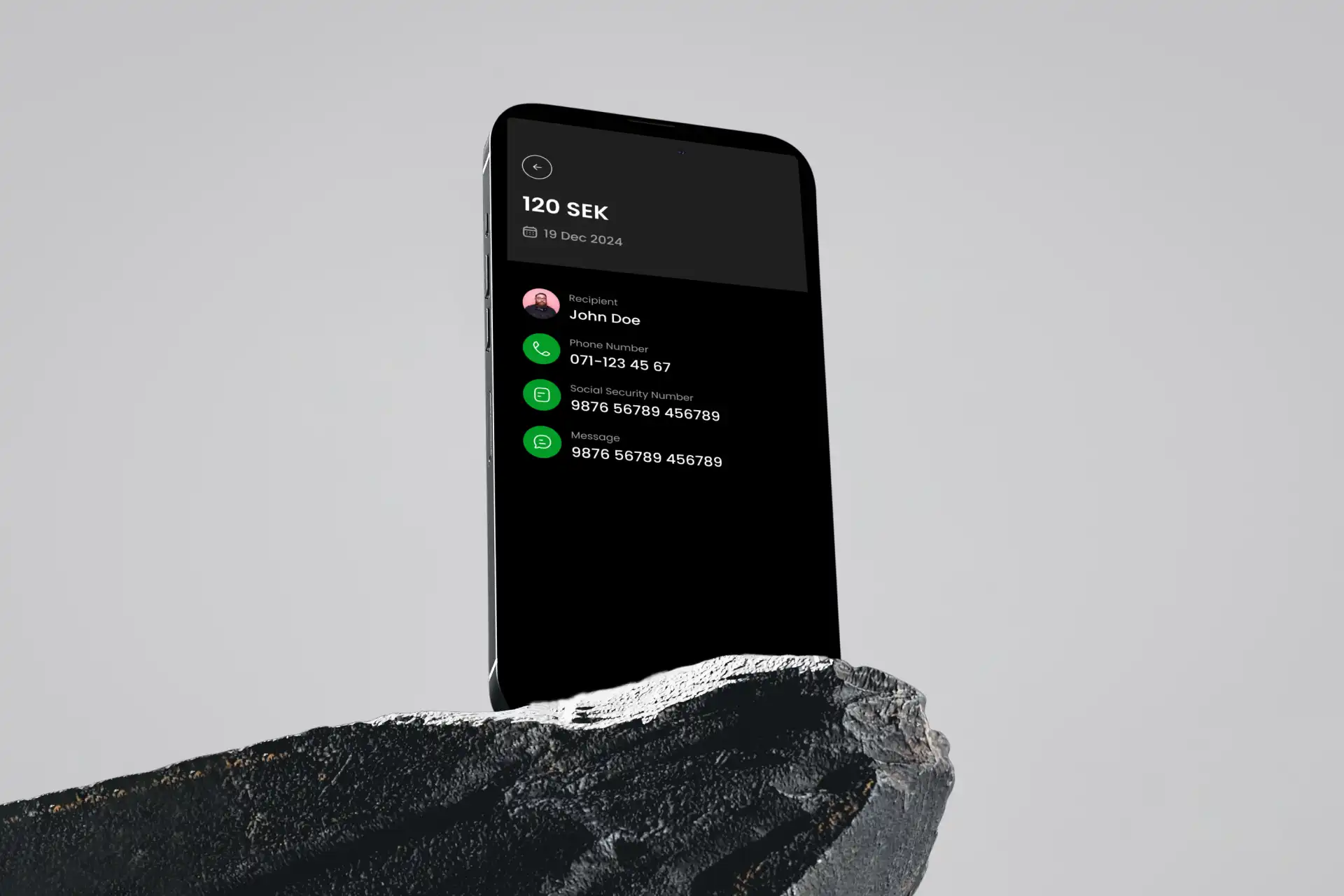 Payero Mobile App Mockup